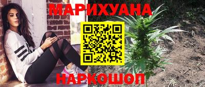 дмт Краснодар