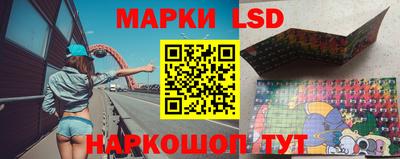 гидра Краснокаменск